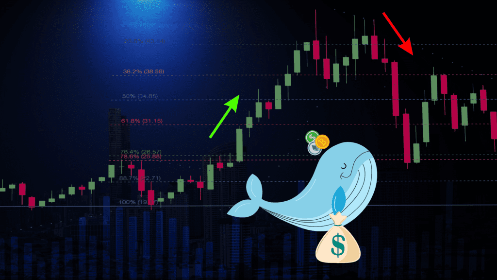 crypto whales - crypto - whale - bitcoin - صناع السوق - حيتان - تحليل -market