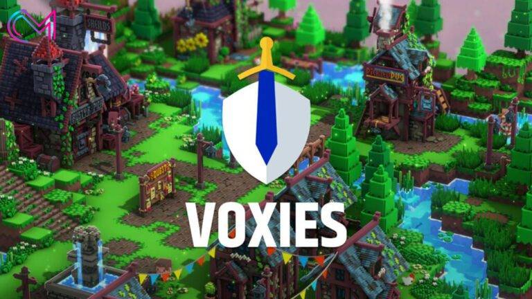 الربح من لعبة Voxies