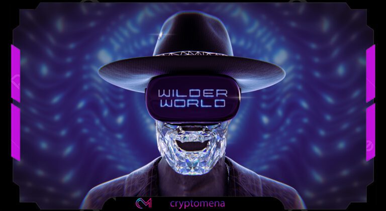 الربح من لعبة Wilder world