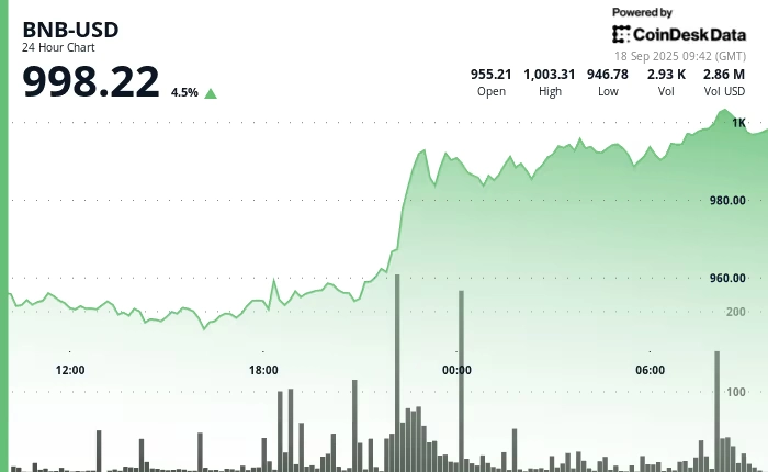 رسم بياني يلخص الارتفاع التاريخي لـ BNB، مع التركيز على الذروة في منتصف أكتوبر