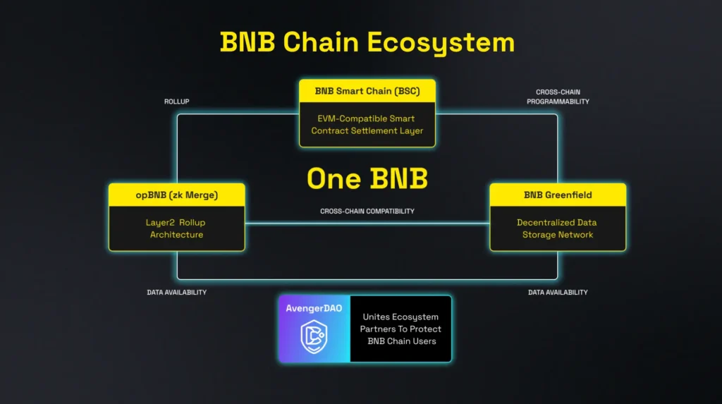 نظرة عامة على مكونات BNB Chain التي ساهمت في الارتفاع.